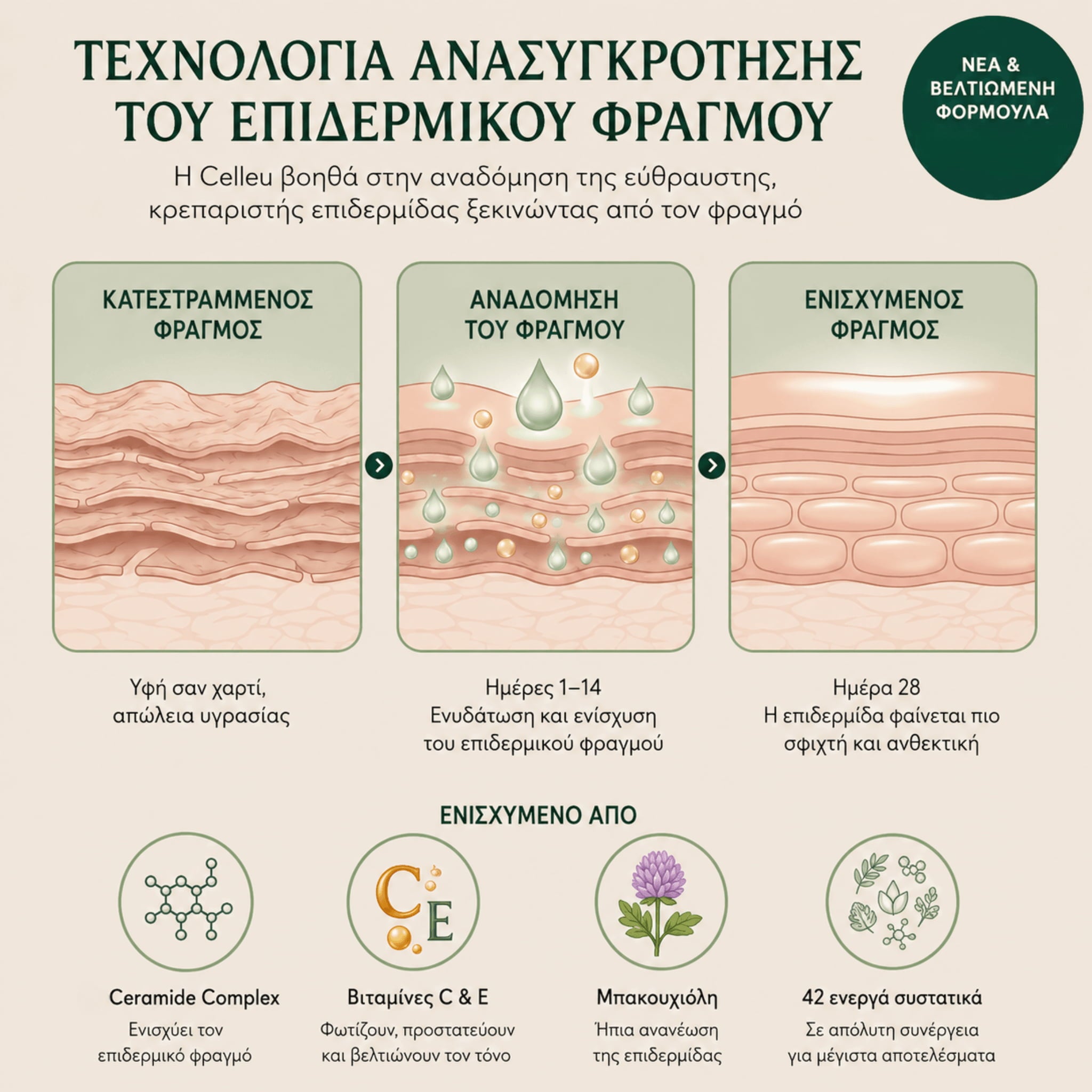 CREPEYFIRM ™  Κρέμα επανόρθωσης δέρματος